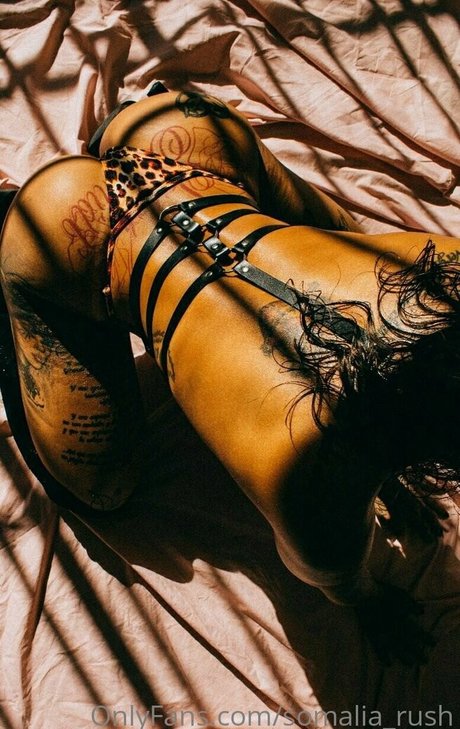 Sarah Schmidt top star pic