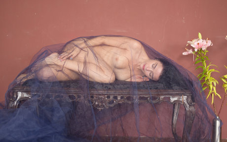 Polina Barenfeld star best gallery