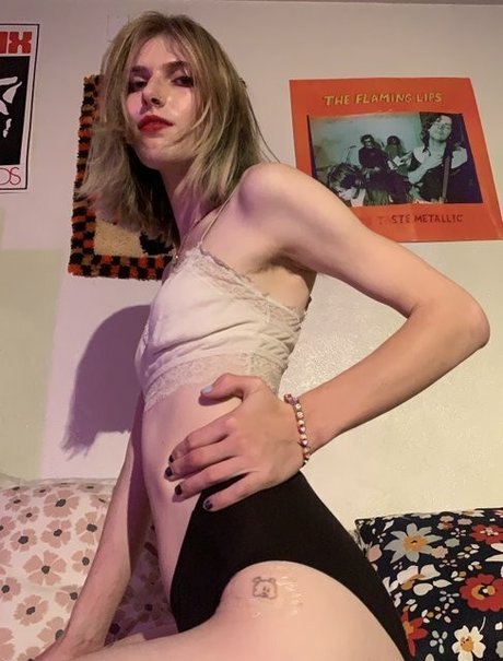 Starlite Anise hd model images