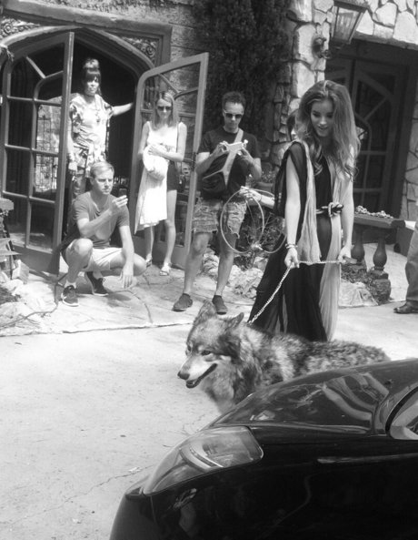 dildo onlyfans sexy images