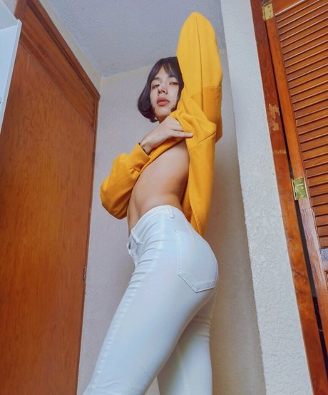 Brunett pornstar top picture