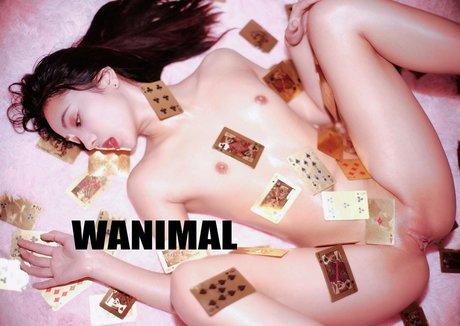 Qinweiyingjie hd star image