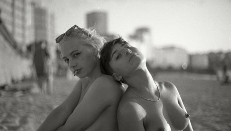 Laubrasil star top pictures