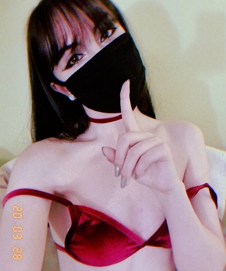 Foxxit art star gallery