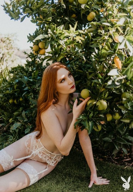 Jessica Lynette Brooks adult star img