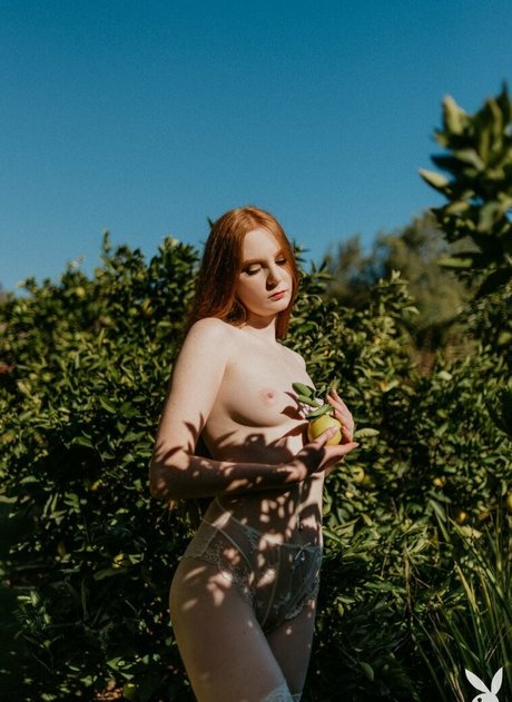 Jessica Lynette Brooks nice pornstar pictures