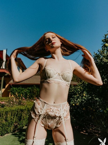 Jessica Lynette Brooks pornstar free galleries