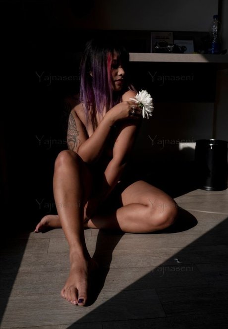 Yajnaseni best star images