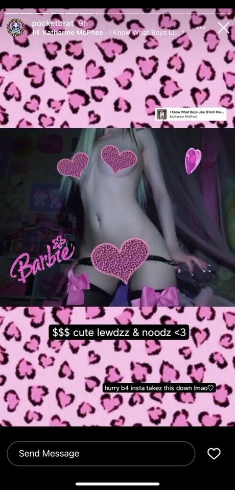 pocketbrat erotic pornstar pic