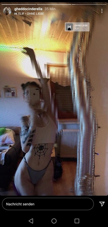 Gheddocinderrella porn model archive