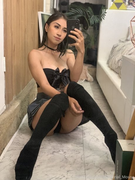 Mercurial Mouse art pornstar galleries