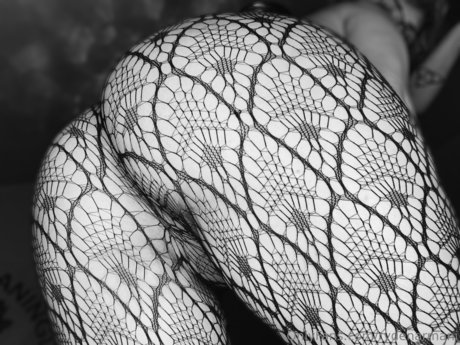 Ryden Armani_ pornstar perfect picture