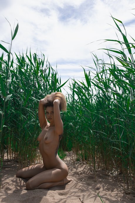 bikini princess onlyfans adult galleries