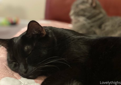 star teen onlyfans nudes images