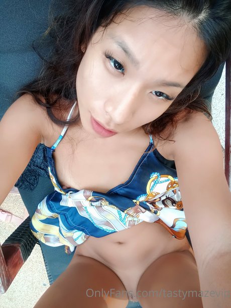 Tasty Maze VIP model top pic