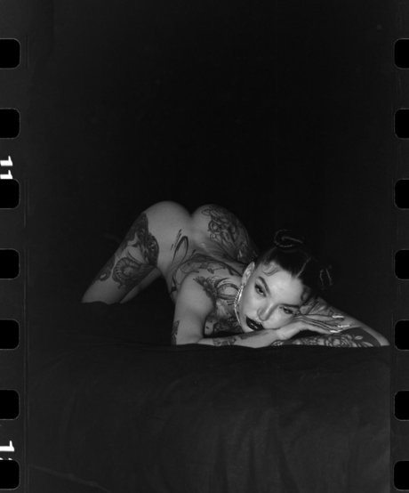 dogatumer star beautiful photos