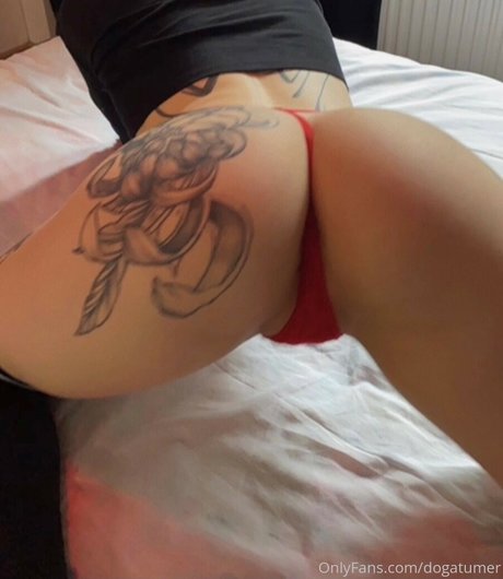 dogatumer high quality star photos