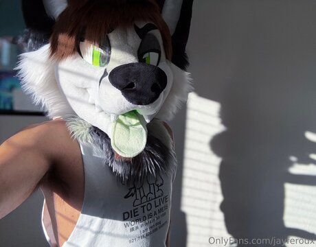 Jayferoux model pornographic gallery