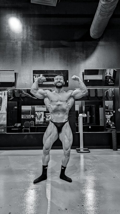 Michael Forte pornstar sexy galleries