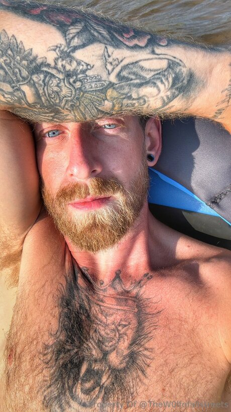 Thew0lfofallstreets model sexy galleries