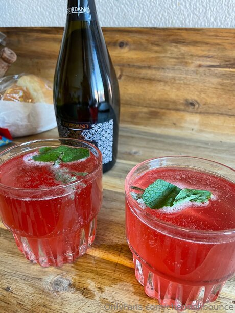 Cheddahbounce adult model pictures