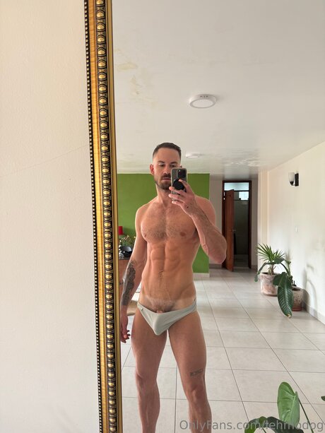 Lehmodog pornstar top pic