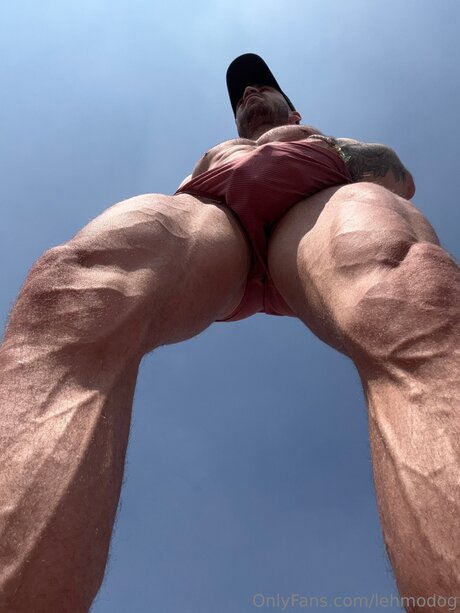 Lehmodog adult actress pics