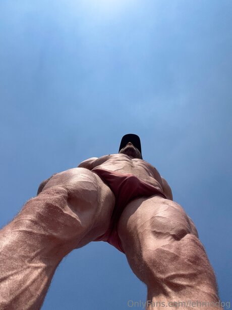 Lehmodog art pornstar photo