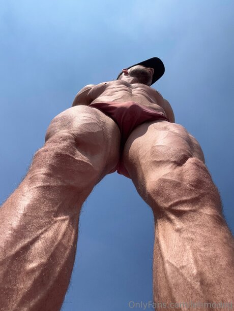 Lehmodog star erotic photo