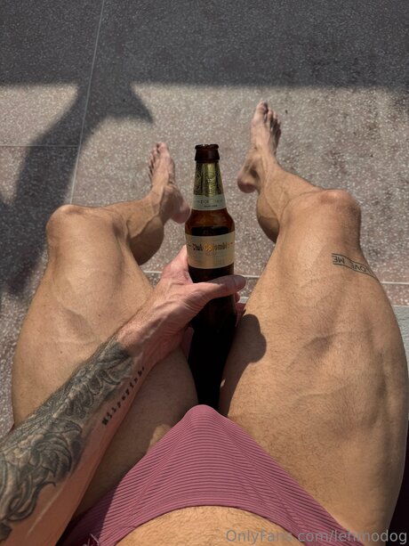 Lehmodog pornstar art photos