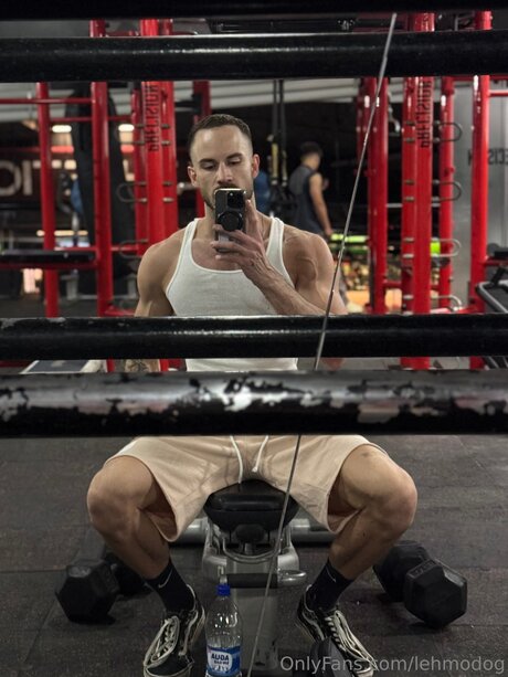 Lehmodog beautiful star img