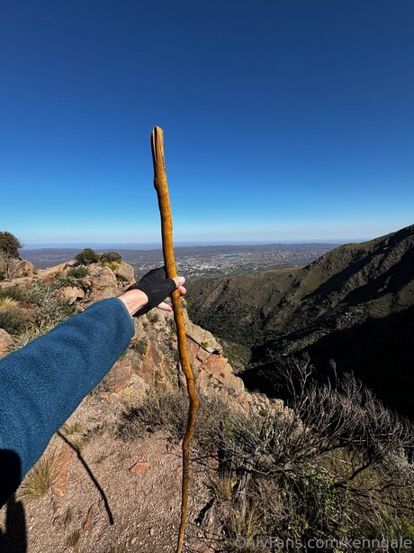 Pologale art model image