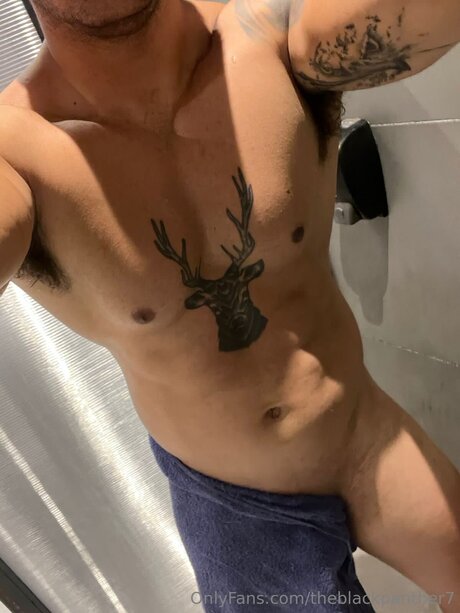 Theblackpanther7 nice pornstar pic