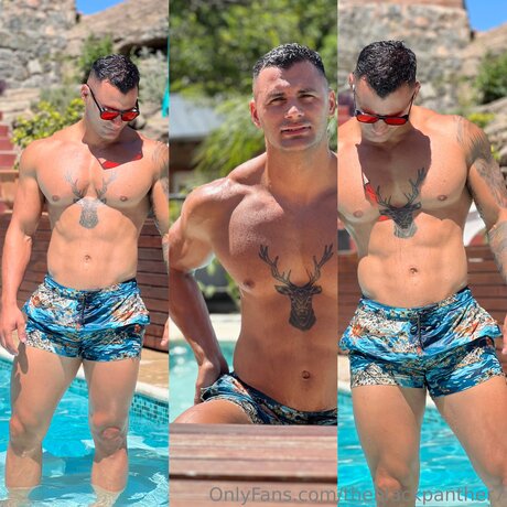 Theblackpanther7 hot pornstar picture