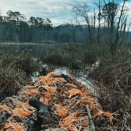 Im Your Hunkleberry xxx model image