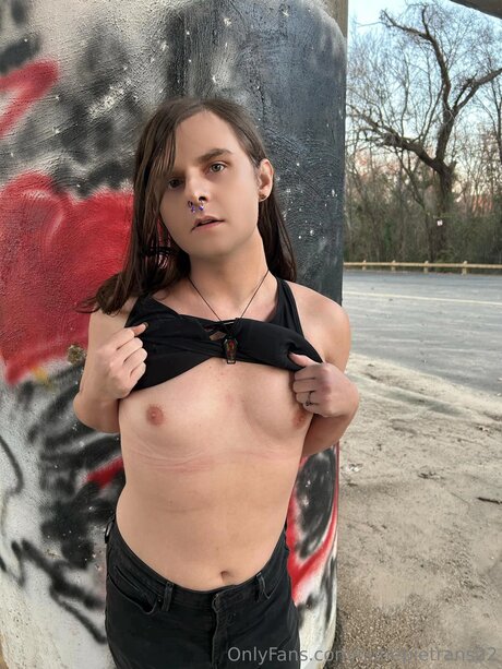 Cutiepietrans22 pornstar xxx image