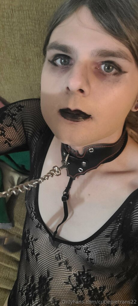 Cutiepietrans22 art pornstar image