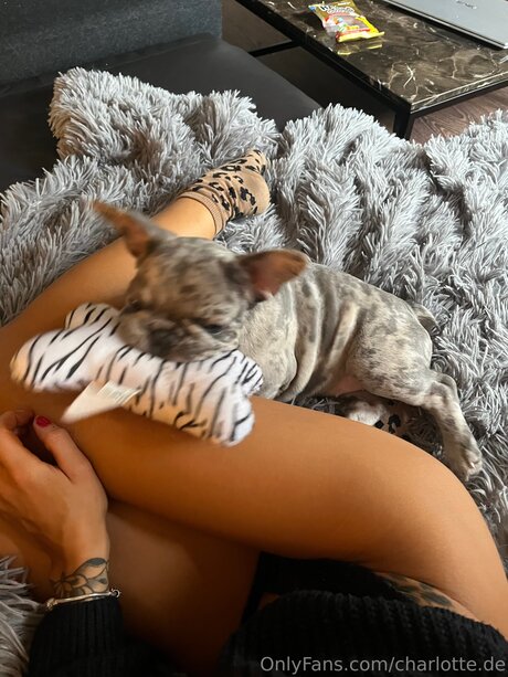 Charlotte De Profile