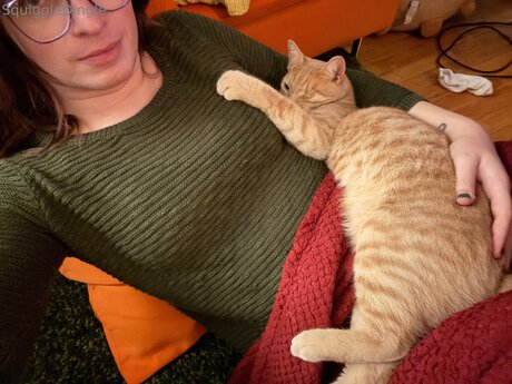 Squiggledingle model pornographic gallery