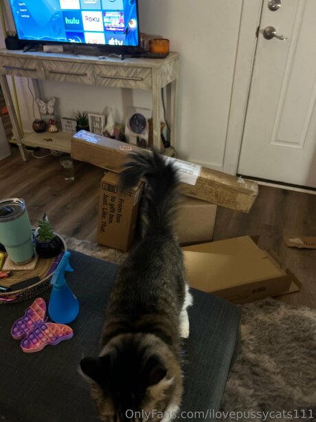 barista onlyfans free sexy pics