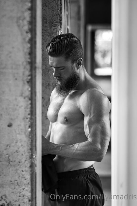 Ilyamadris best pornstar picture