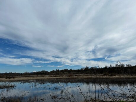 asian girlfriend onlyfans exclusive img