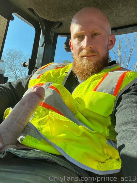 Prince Ac13 model pretty img