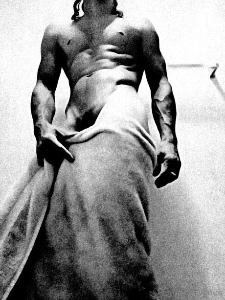 Mr Venus star erotic picture