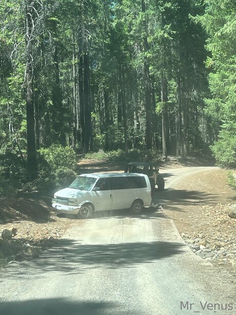 Mr Venus hd star pictures