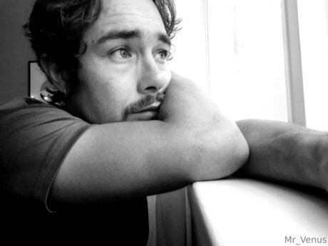 Mr Venus art actress photo