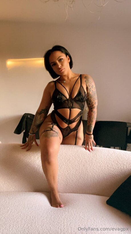 Evagpx star art gallery