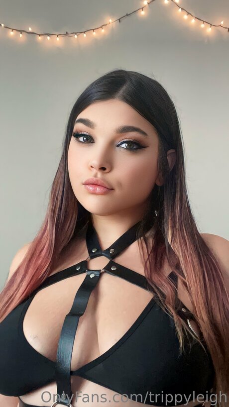 Trippyleigh star art images