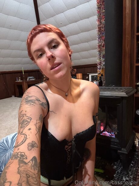 Cass Eater pornstar art archive