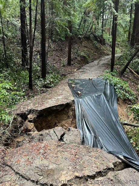 Cass Eater pornographic model img